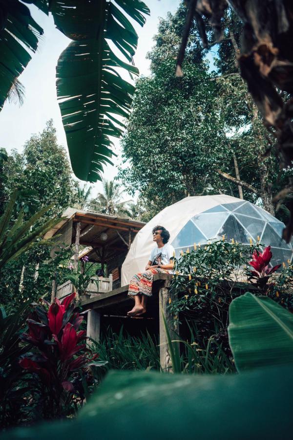 Bali Jungle Camping By Amerta Experience Tabanan  Ngoại thất bức ảnh