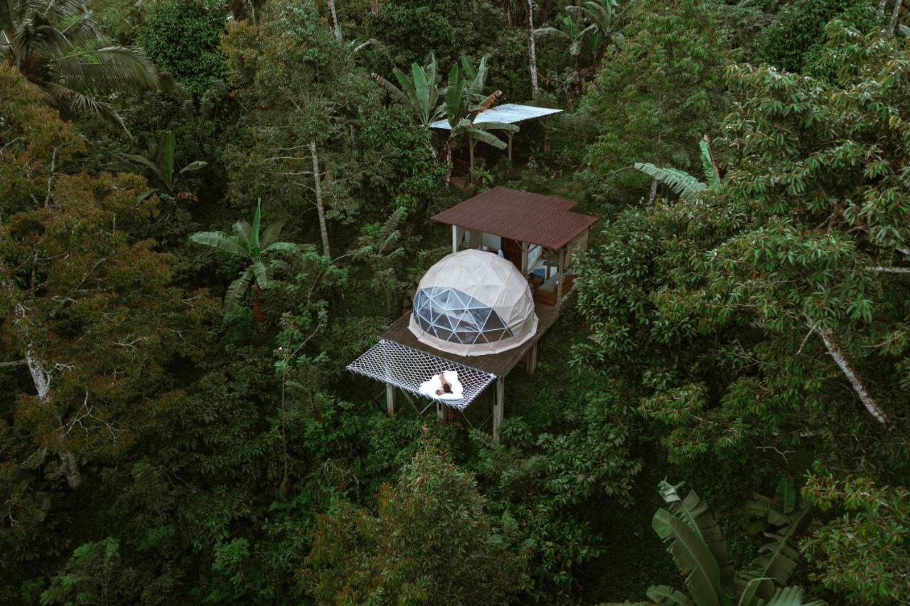 Bali Jungle Camping By Amerta Experience Tabanan  Ngoại thất bức ảnh