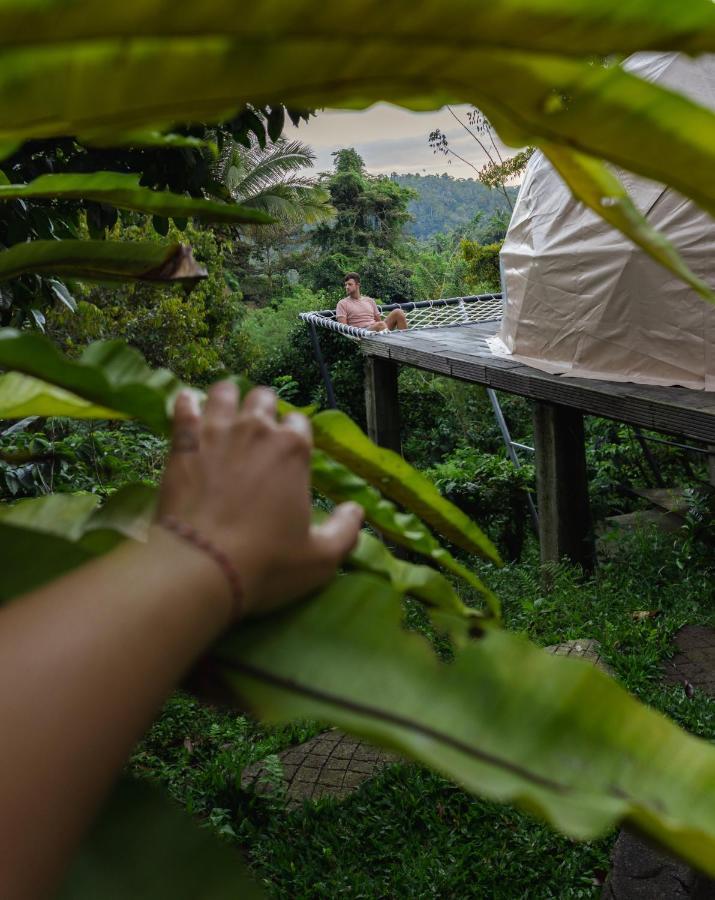 Bali Jungle Camping By Amerta Experience Tabanan  Ngoại thất bức ảnh