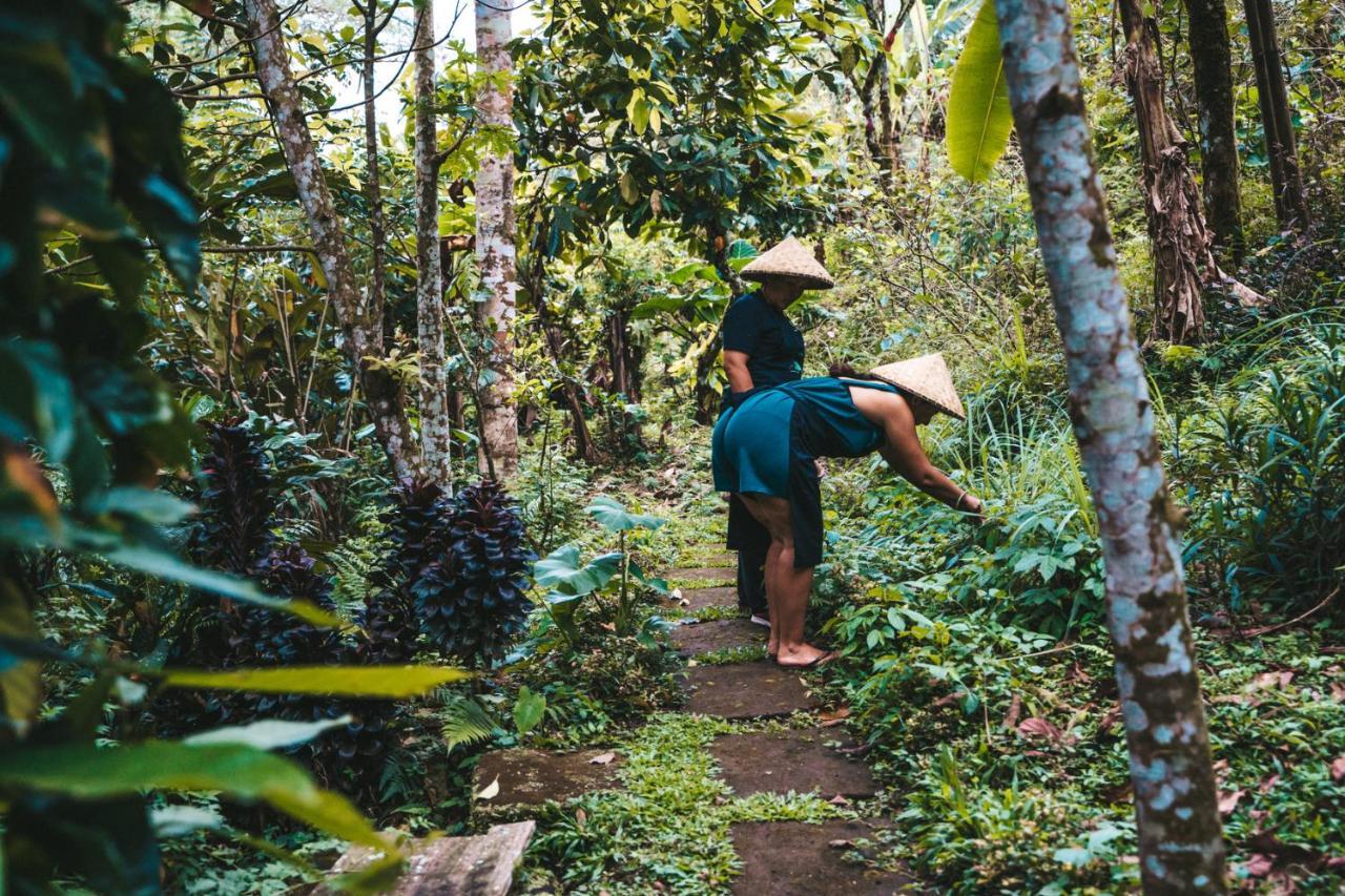 Bali Jungle Camping By Amerta Experience Tabanan  Ngoại thất bức ảnh
