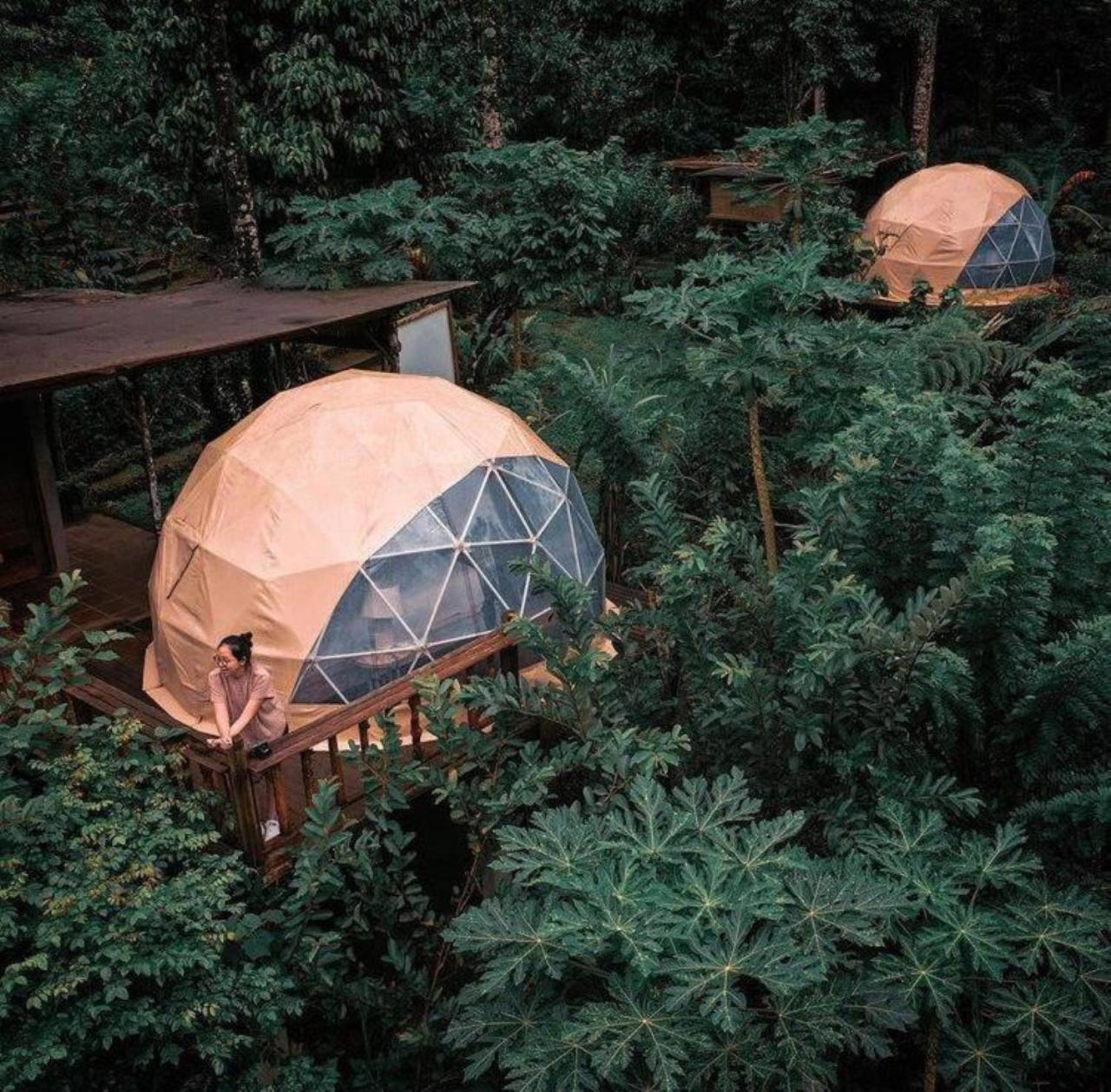 Bali Jungle Camping By Amerta Experience Tabanan  Ngoại thất bức ảnh