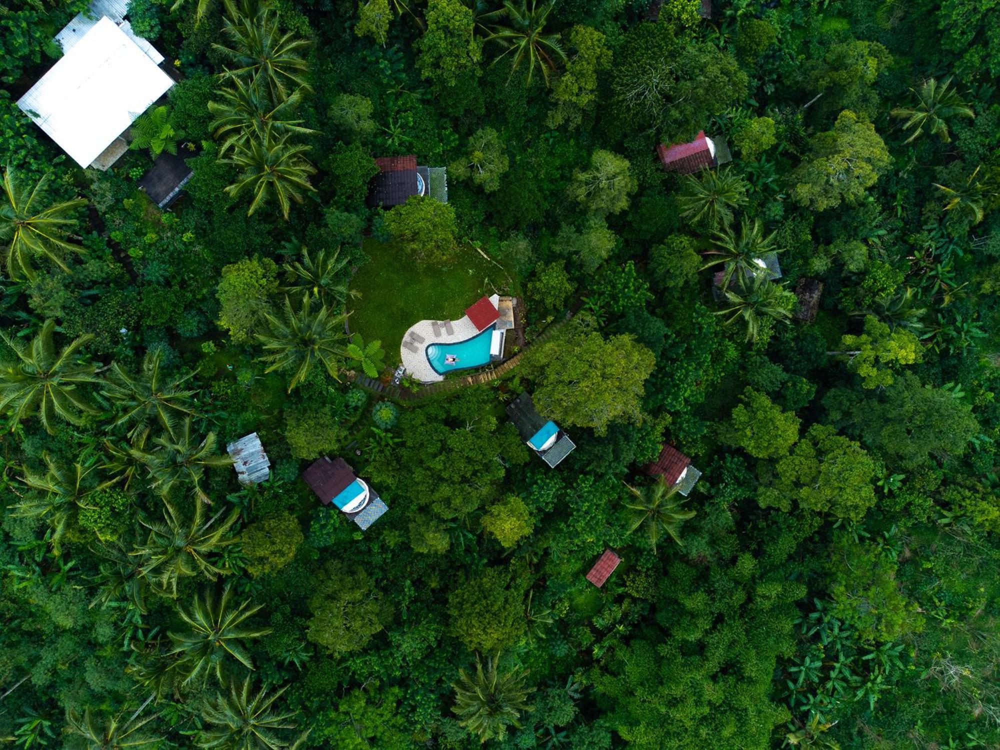 Bali Jungle Camping By Amerta Experience Tabanan  Ngoại thất bức ảnh